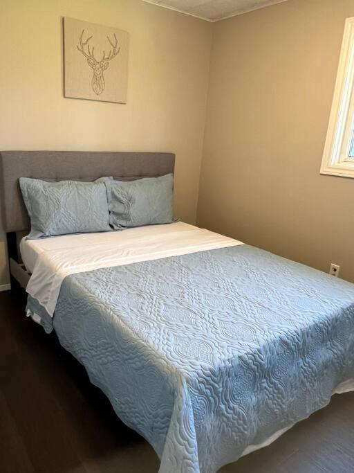 Family Friendly Cottage ☆Walking Distance To Beach Lions Head Exterior foto